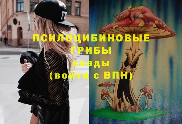 СК Абаза